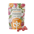 100mg THC Dragon Fruit Sugar Free Gummies (10mg - 10 pack) - Potters Gummies
