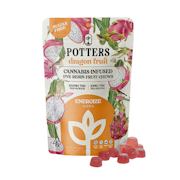 100mg THC Dragon Fruit Sugar Free Gummies (10mg - 10 pack) - Potters Gummies