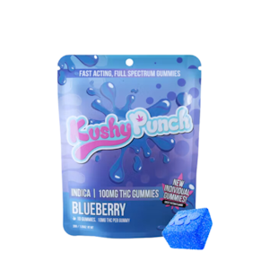 KUSHY PUNCH - 100mg THC Indica Blueberry Individual Gummies (10mg - 10 Pack) - Kushy Punch