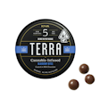 100mg THC Milk Chocolate Blueberries Terra Bites (5mg THC - 20 pack) - Kiva