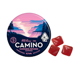 100mg THC Wildberry Gummies (5mg - 20 pack) - Camino