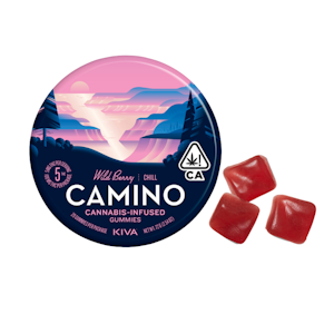 Camino Gummies - 100mg THC Wildberry Gummies (5mg - 20 pack) - Camino