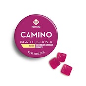 CAMINO - WATERMELON LEMONADE 100MG GUMMIES