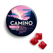 Wild Berry - 100mg - Camino