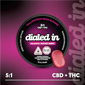 Rocket Berry 5:1 CBD:THC - 100mg Rosin - Dialed In Gummies