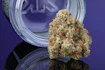 Product Preview Image 2