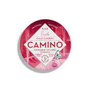 KIVA Camino Wild Cherry 5mg THC 'Excite' Gummies