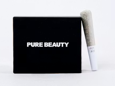 PURE BEAUTY - Pure Beauty Babies 10pk Prerolls 3.5g Hybrid