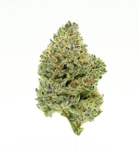 SF Cultivators - Ice Cream Cake - 14g (IH) - SF Cultivators