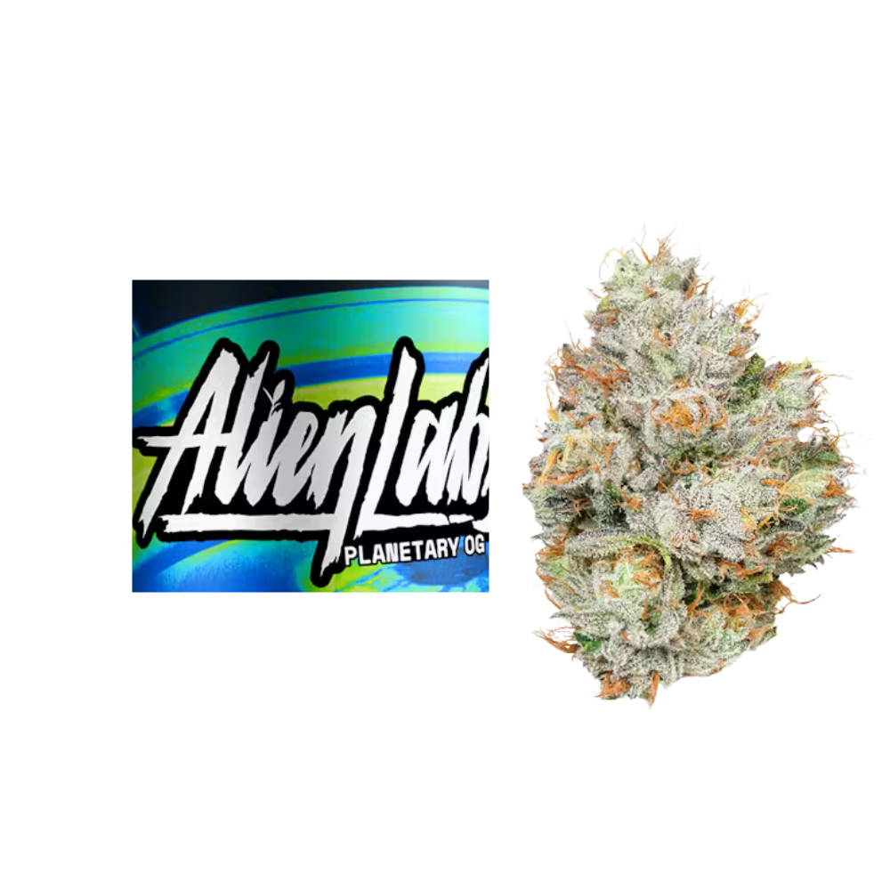 10g Planetary OG (Indoor A-nugs) - Alien Labs picture
