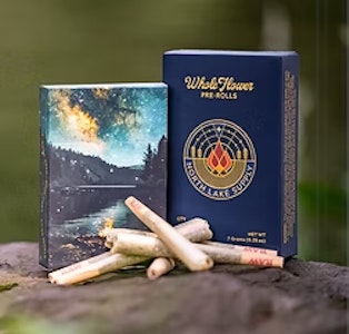 NORTH LAKE SUPPLY CO. - Gouda Gas Whole Flower Preroll 10pk 7g