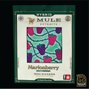 Mule | Marionberry | 100mg 4:1 CBD:THC 10pk Gummies 