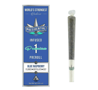 PRESIDENTIAL - Presidential - Preroll - Blue Raspberry - (I) 1g