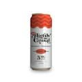 Strawberry & Watermelon High Five 5mg 1:1 THC:CBD Seltzer - HIGHLY CASUAL