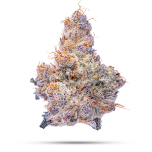 Apple Guy Flowers - Candy Fumes *30% TAC* | 3.5g Premium Flower | TAX INCLD