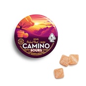 Orchard Peach 1:1 100mg Gummy 10pk - Camino Sours
