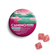 CAMINO Sours | "Uplifting" Watermelon Spritz | 100MG 10PK Gummies 