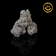 Excolo | Sticky Glue | indoor flower