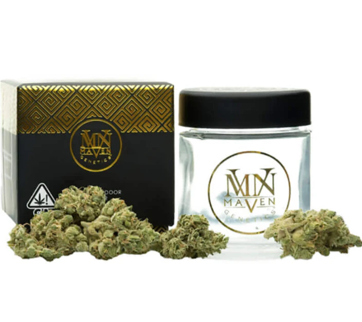 Marijuana Maven - Maven - Peach Creme Gelato - 3.5g Main Image