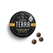 Kiva -- Terra Bites -- Milk Chocolate Sea Salt Caramel (100mg)