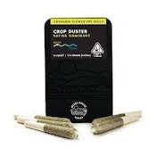 Glass House Crop Duster Preroll Pack (S) 2.5g