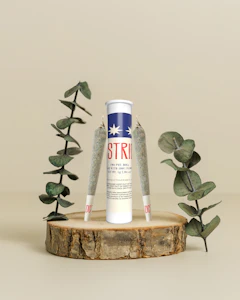 DISTRICT CANNABIS - Gelato Cake | Preroll | 1g | District Cannabis