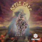 Apple Tart | Pro Gro | Bulk Flower