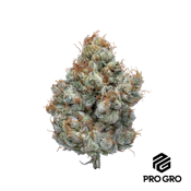 Sour Apple Gelato | Pro Gro | Bulk Flower