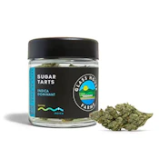 SUGAR TARTS - 3.5 Grams