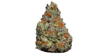 Green Dragon - LA Runtz - 3.5g