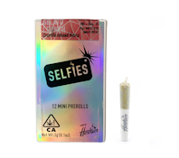 SELFIES | GELATO CRUNCH - 12PK INFUSED | PREROLL | 3G