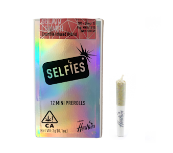 SELFIES - SELFIES | GELATO CRUNCH - 12PK INFUSED | PREROLL | 3G