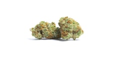 PASSIFLORA CLEMENTINE 3.5G