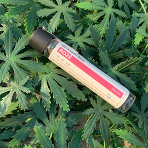 GREEN HABITAT - Green Habitat - Roze 1g Preroll