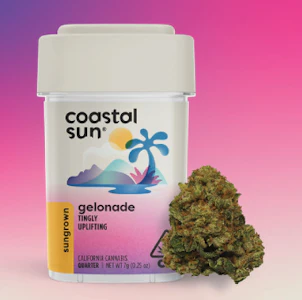 Coastal Sun - Coastal Sun Flower 7g - Jager 28%