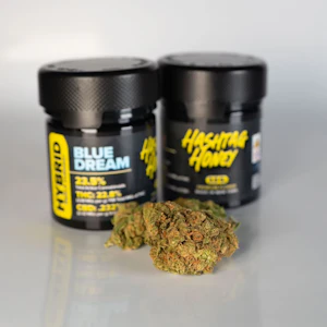 Hashtag Honey - Hashtag Honey - Blue Dream - 3.5g - Flower