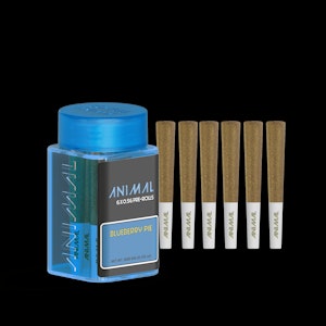 ANIMAL - ANIMAL | BLUEBERRY PIE | .5G 6PK PREROLLS