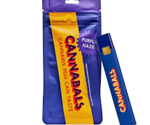 Purple Haze 1g AIO Vape - Sativa | Cannabals