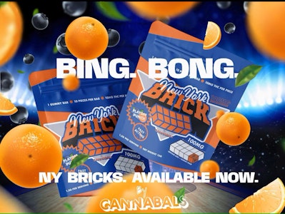 CANNABALS - New York Brick Playoff Punch
