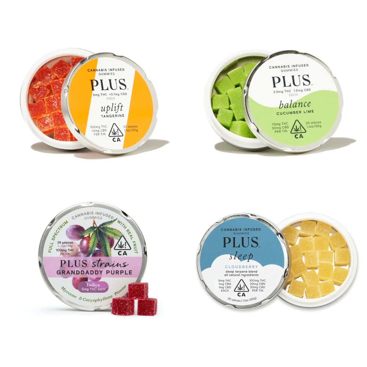 PLUS - PLUS Sampler Bundle Main Image