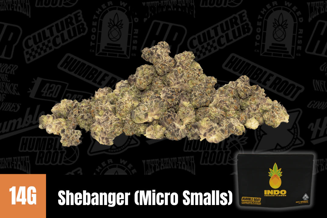 Humble Root - 14g Sherbanger 22 "Indo" (Indoor Micro Smalls) - Humble Root Main Image
