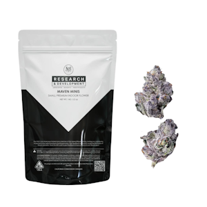 Maven - 14g Black Diamond X x 98 Reserve #31 (Indoor Smalls) - Maven