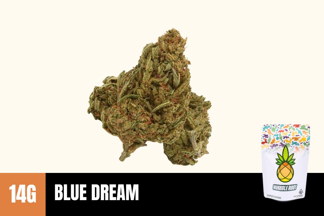 14g Blue Dream (Greenhouse) - Humble Root picture
