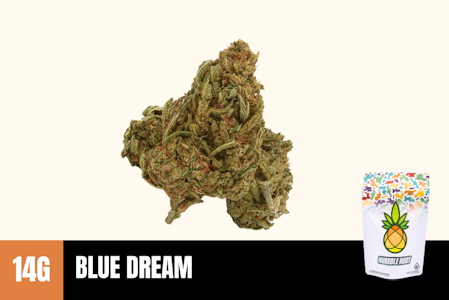 Humble Root - 14g Blue Dream (Greenhouse) - Humble Root