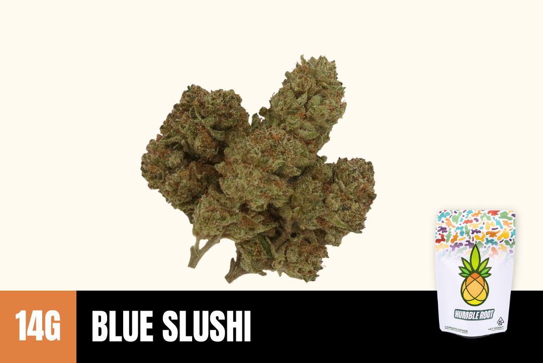 14g Blue Slushi (Greenhouse) - Humble Root picture