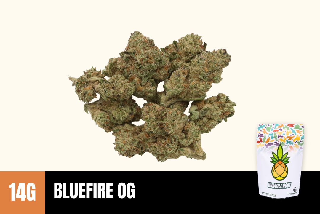 14g BlueFire OG (Greenhouse) - Humble Root picture