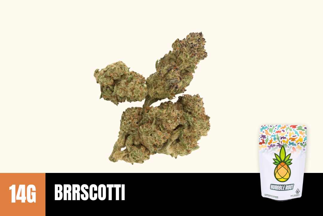 14g Brrscotti (Greenhouse) - Humble Root picture