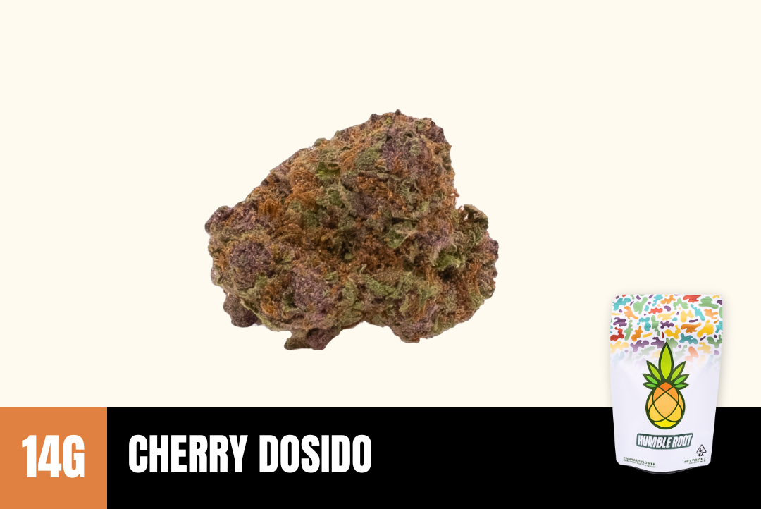 14g Cherry Dosido (Greenhouse) - Humbleroot picture