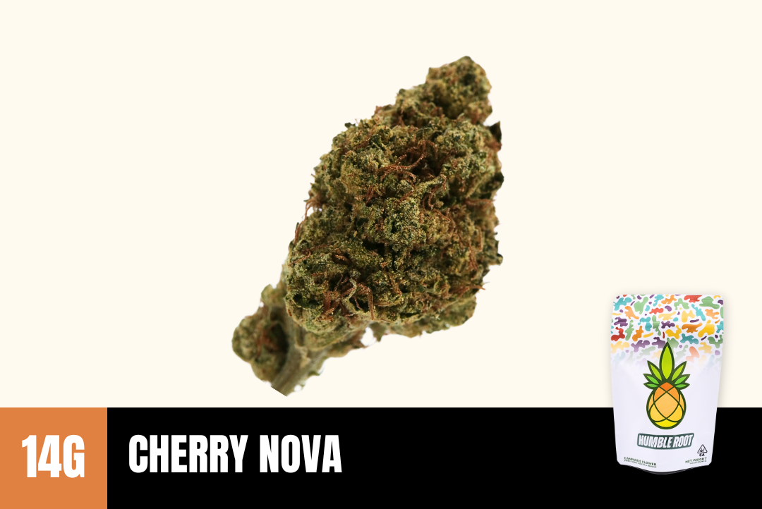14g Cherry Nova (Greenhouse) - Humble Root picture