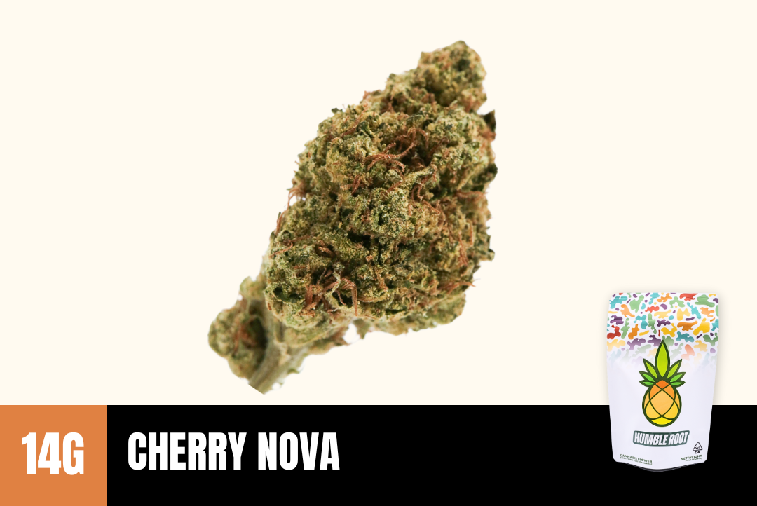 14g Cherry Nova (Greenhouse) - Humble Root picture